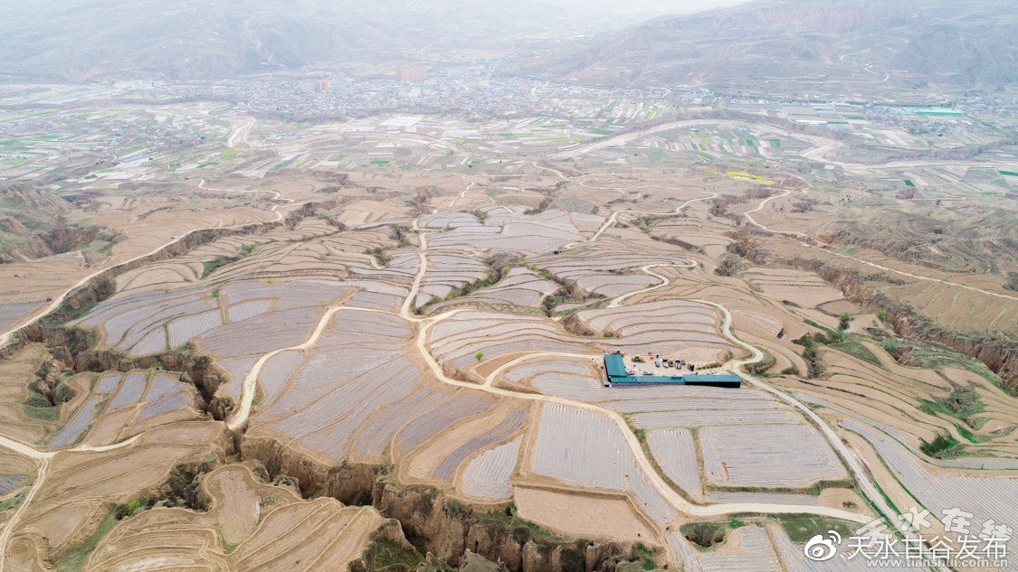今日快手推广专业化打造您的网络平台:一站式推广管理平台解析,抖音24小时自助在线下单老马：老马商城在线选购便捷下单服务