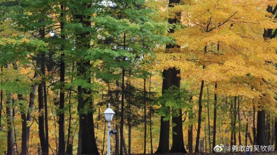 金秀贤和未成年金赛纶约会视频