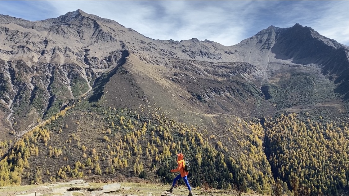 6家商会发声明回应美加征关税